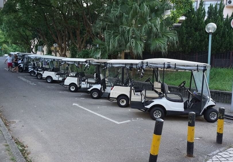 Why Are These the Most Expensive Golf Carts on the Planet?