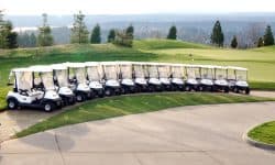 golf cart brands