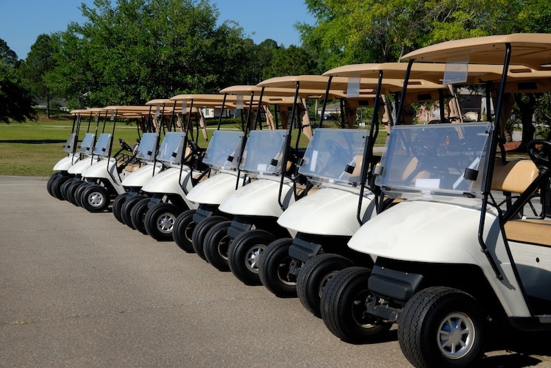 1995 Club Car DS Electric Golf Cart, Green - Winters Recreation